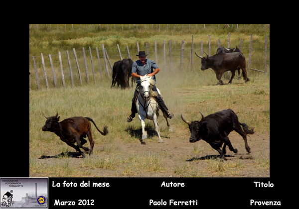 (03)  Foto del Mese  Marzo(2012) Autore Paolo Ferretti   Titolo  PROVENZA.jpg